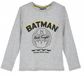 Кофта Batman (Бэтмен) TH12381