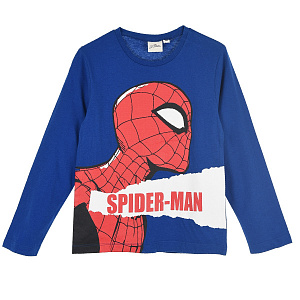 Кофта Spider Man (Человек Паук) TH10151
