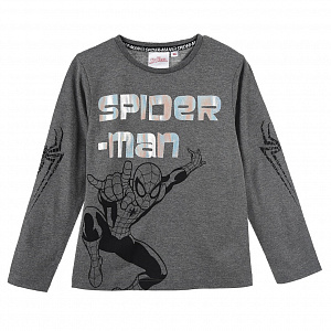 Кофта Spider Man (Человек Паук) HU10011