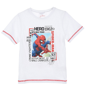 Футболка Spider Man (Человек Паук) UE11162