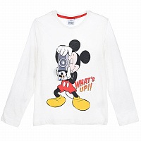 Кофта Mickey Mouse (Микки Маус) TH11542